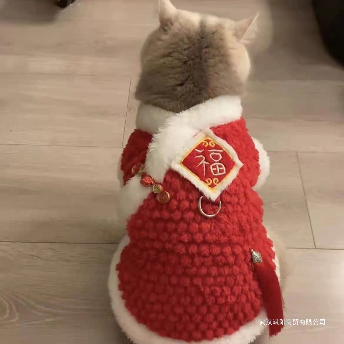 Cat New Year's clothes autumn and winter cute ins blue and gold gradient puppet cat blue cat red Chinese New Year festive clothes