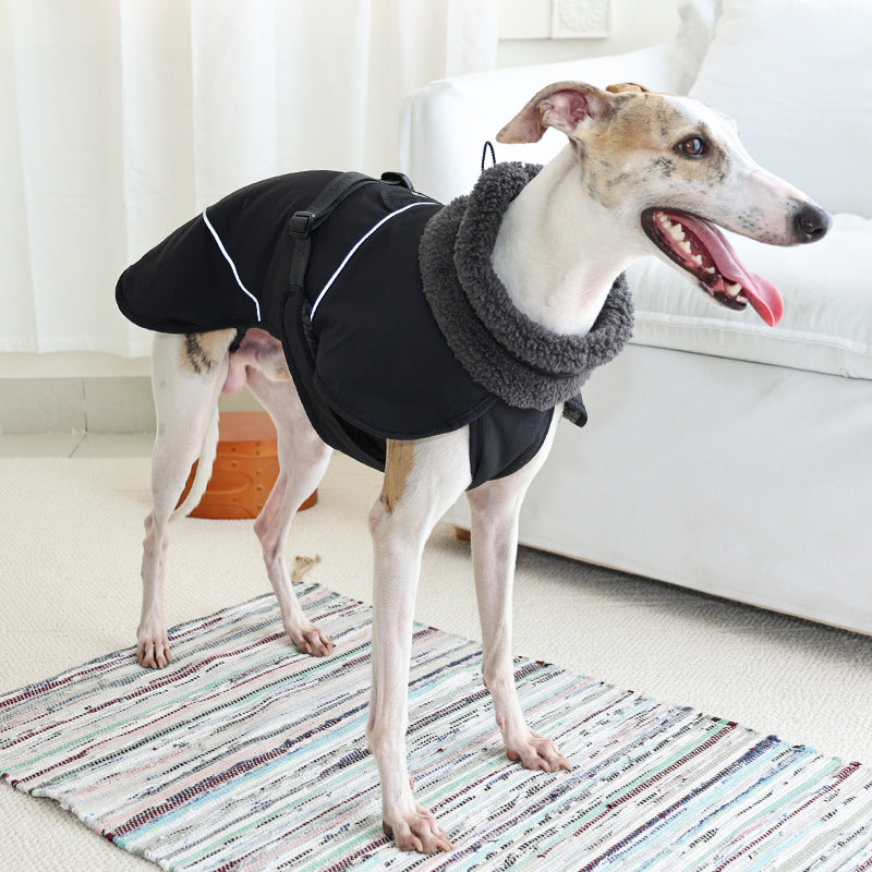 Cross-border hot-selling dog cotton-padded clothes go out in autumn and winter to keep warm and cold-proof pet clothes thickened multi-color cotton clothes pet clothes