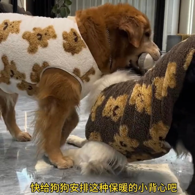 Border grazing clothes autumn and winter velvet to keep warm and prevent hair loss husky golden hair labrador large dog big dog cotton-padded clothes