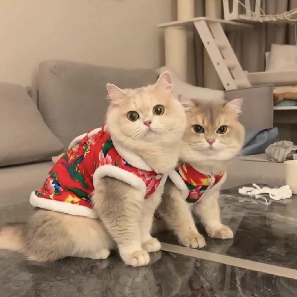 Wholesale cat clothes autumn and winter velvet thermal vest vest silver gradient puppet cat male cat northeast big flower jacket