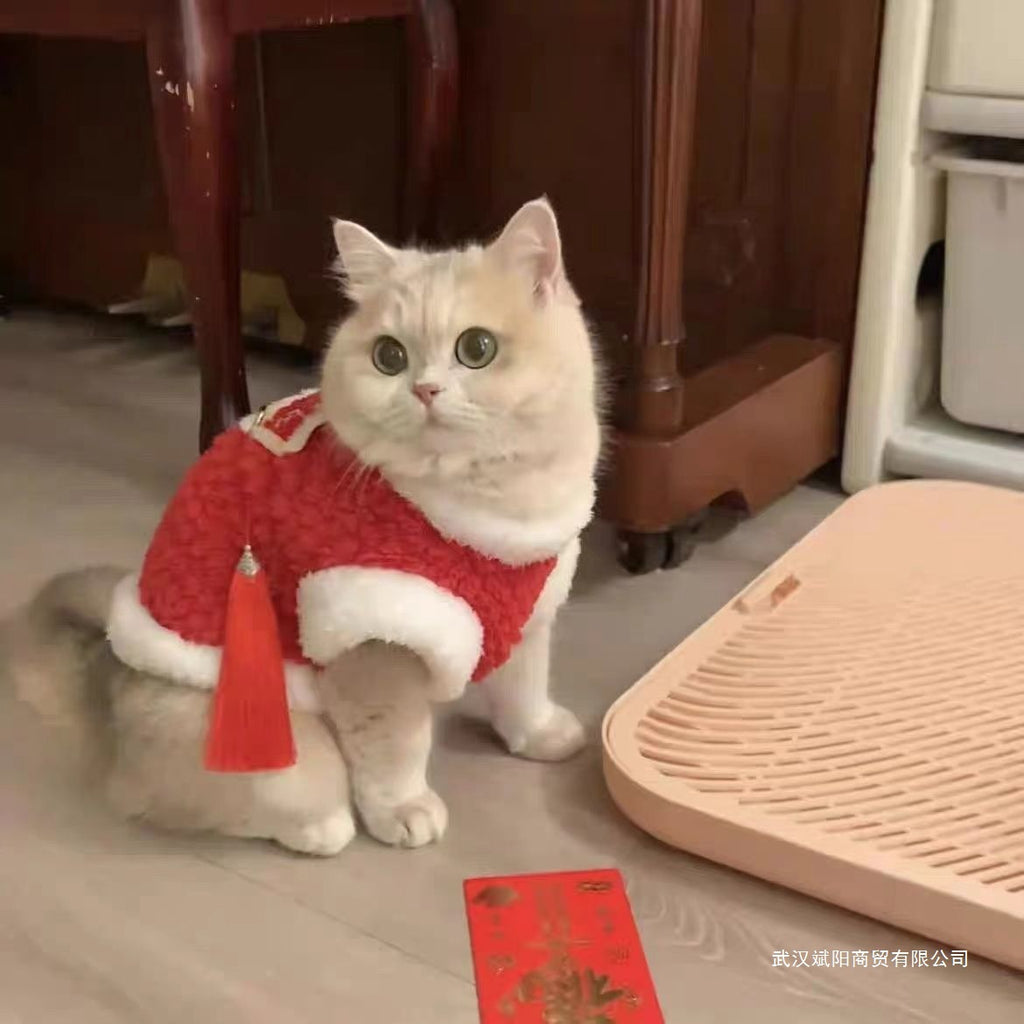 Cat New Year's clothes autumn and winter cute ins blue and gold gradient puppet cat blue cat red Chinese New Year festive clothes