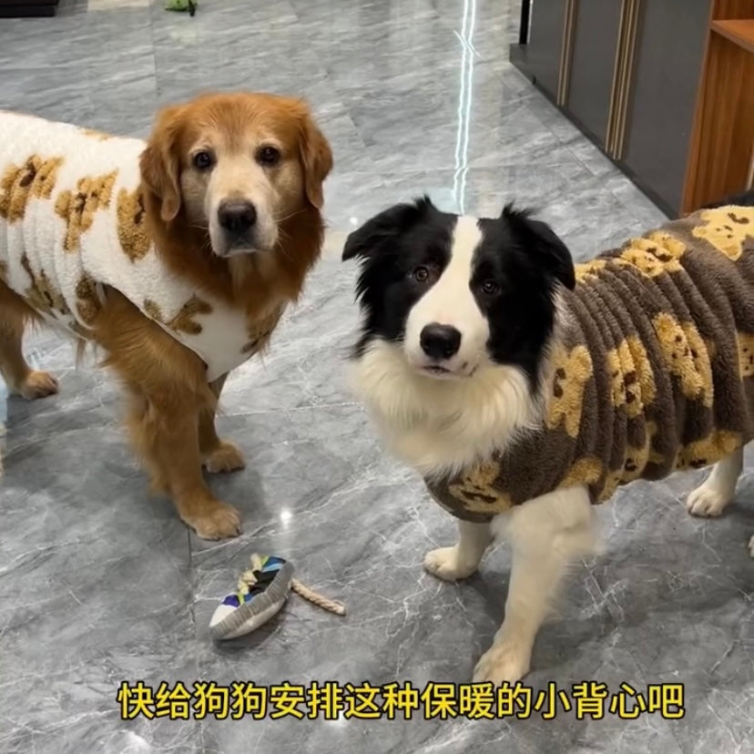 Border grazing clothes autumn and winter velvet to keep warm and prevent hair loss husky golden hair labrador large dog big dog cotton-padded clothes