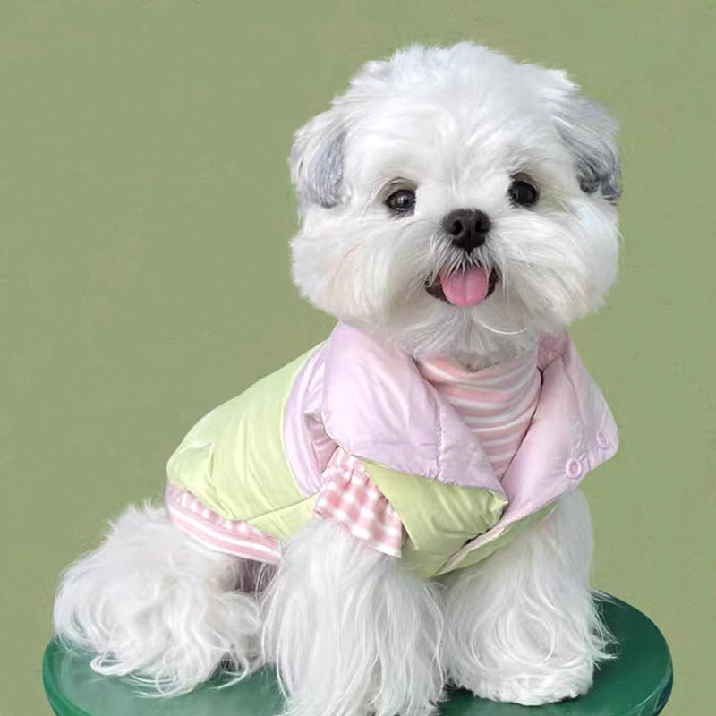 Dog cotton coat vest teddy cat small dog dog clothes Bigbear VIP Pomeranian Yorkshire autumn and winter clothing