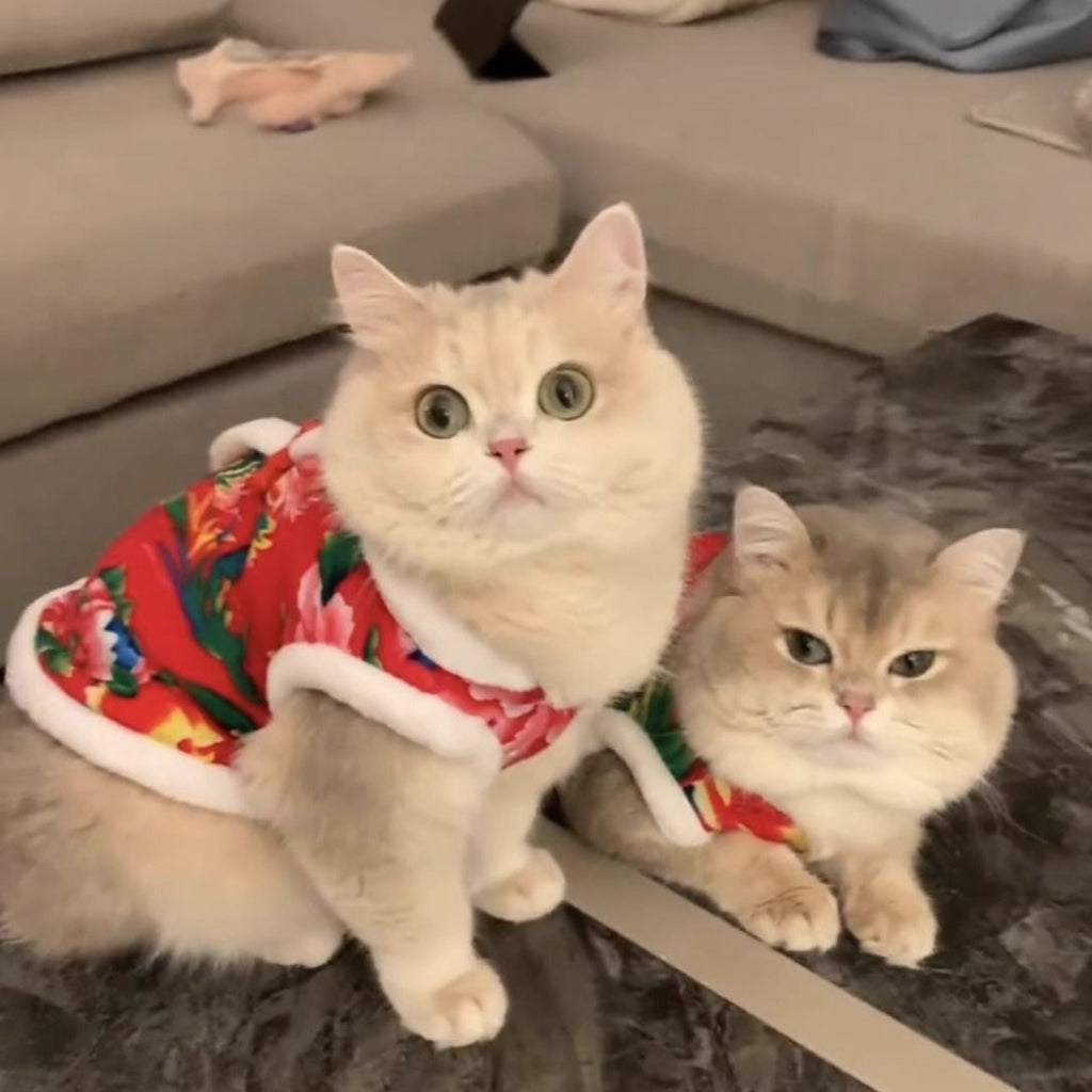 Wholesale cat clothes autumn and winter velvet thermal vest vest silver gradient puppet cat male cat northeast big flower jacket